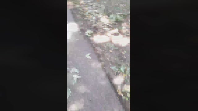 big_blackc  01-08-2022